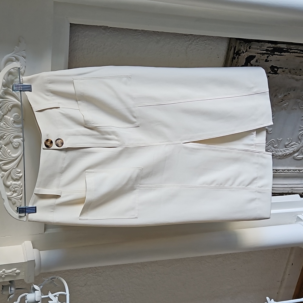 NWT Cara Santana pencil skirt